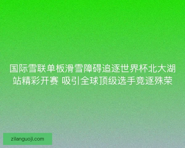 国际雪联单板滑雪障碍追逐世界杯北大湖站精彩开赛 吸引全球顶级选手竞逐殊荣